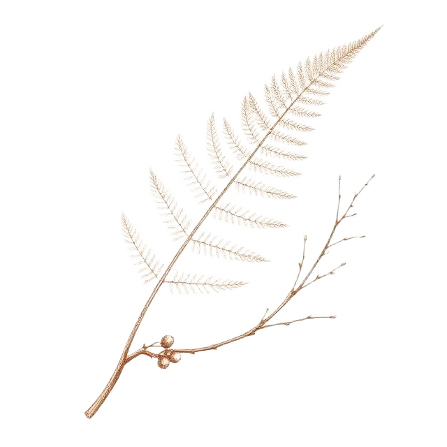 Antique line illustration of a fern frond with berries